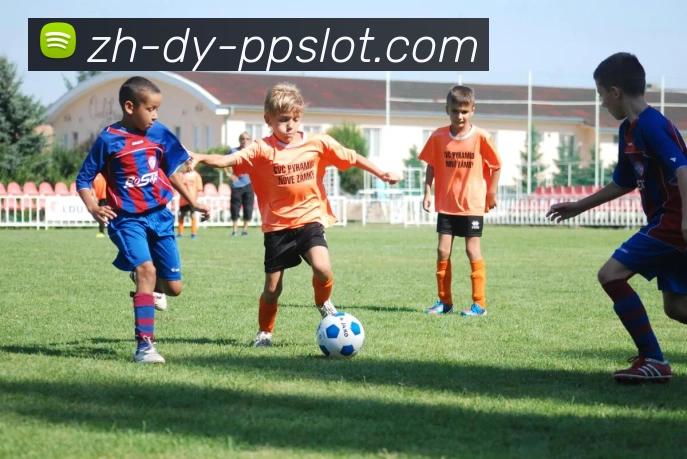 奥林匹斯之门官网发展历程